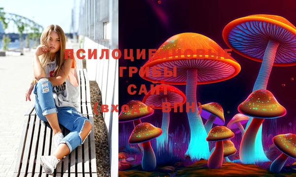 a pvp Горняк