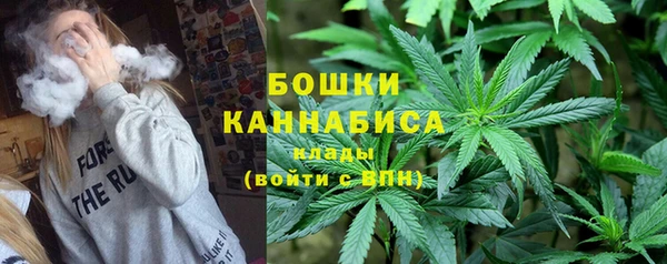 трава Горнозаводск