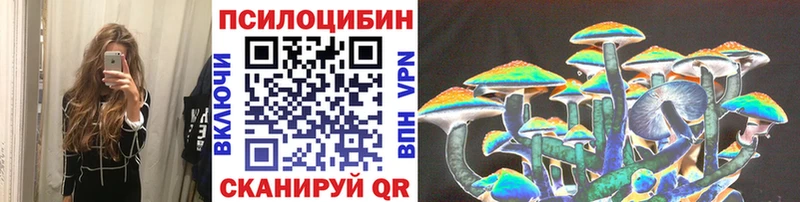Купить закладки  Кашира  Псилоцибиновые грибы Psilocybe 