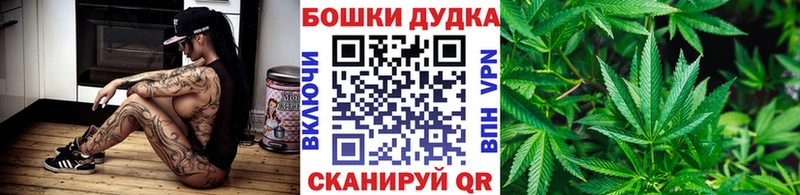 Купить где  Кашира  Шишки марихуана марихуана 
